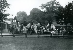 Riding Animals Bedecked for the Peace Day Celebrations, 19th July 1919